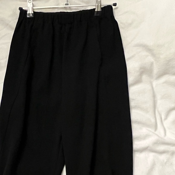 aritzia dress pant - Picture 3 of 3